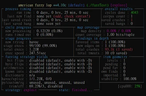 大致分析afl++