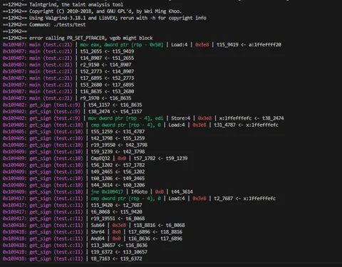Valgrind taint analysis tool :taintgrind