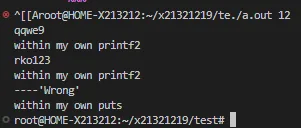 linux hook record
