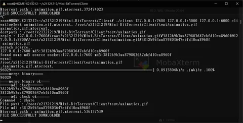 Mini-BitTorrent
