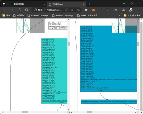 riscv asm compare viewer