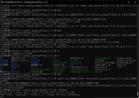 python package