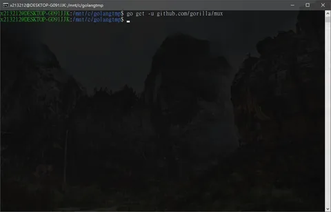 Golang 搭建一個簡單Http Server